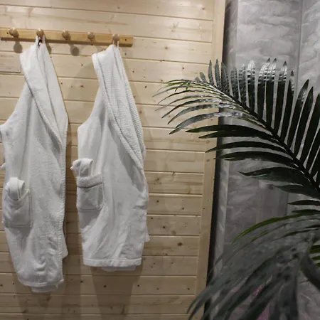 Maison Privative Jacuzzi Sauna Salle De Jeux Weitbruch