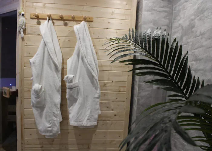 Maison Privative Jacuzzi Sauna Salle De Jeux Weitbruch